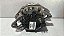 Alternador Chevrolet Montana/Agile 1.4 Flexr 100 Amp 2013 - Imagem 3