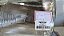 Farol Esquerdo  Renault Scenic Megane - 1996 a 1999  (DEPO) - Imagem 2