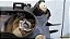 Farol Direito Audi A3 1996 a 2000 Hella - Imagem 4