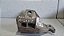Suporte Alternador Renault Clio/Sandero/Logan 2008 a 2012 - Imagem 1