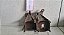 Suporte Da Bobina Renault Scenic 2.0 8v 1999 a 2002 - Imagem 1