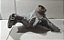 Suporte Alternador Compressor  Megane/Scenic 1997 a 2001 - Imagem 2
