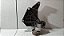Suporte Compressor de ar GM Zafira 2001 a 2005 -cod 93288403 - Imagem 2