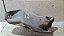 Suporte do coxim Vw Passat Alemão/ Audi/A4/B5  1994 a 2001 - Imagem 1