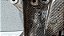 Suporte motor Peugeot 106 /Citroen Xsara 1.0 1991 A 2003 - Imagem 6