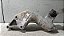 Suporte Coxim LD motor Peugeot 206/207 2007 A 2014 - Imagem 4