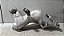Suporte Coxim LD motor Peugeot 206/207 2007 A 2014 - Imagem 2