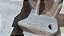 Suporte Alternador Ford Focus 1.8/2.0/16V Zetec  2001 a 2008 - Imagem 3