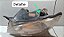 Farol Lado Esquerdo  GM Classic - 2011 a 2016  (Paralelo) - Imagem 4