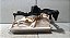 Farol Lado Direito GM S-10 Blazer 1995 a 2000 - Imagem 3