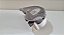 Painel Instrumentos Chevrolet Corsa Classic 1995 A 2004 - Imagem 5
