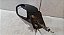 Retrovisor Lado Esquerdo Fiat Idea 2005 a 2010 Com Controle - Imagem 2