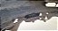 Parachoque Dianteiro Honda Fit 2004 A 2006 - Imagem 4