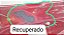 Parachoque Traseiro Hyundai Hb20 Hatch 2018 2019 2020 - Imagem 3