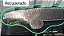 Capo Honda New Civic 2007 a 2011 Com detalhe - Imagem 8