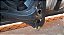 Capo Vw Fox 2015 a 2021 Com detalhe - Imagem 3