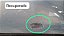 Capo Gm Onix 2020 a 2022 Com detalhe - Imagem 6