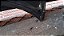 Capo Fiat tempra 1992 a 1996 Com detalhe - Imagem 2