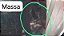 Capo Vw Logus/Pointer 1993 a 1996 Com detalhe - Imagem 7