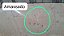 Capo Hyundai Elantra 1994 a 1996 Com detalhe - Imagem 6