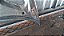 Capo Honda Civic 2007 a 2011 Com detalhe - Imagem 2