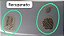 Tampa Traseira Fiat Siena sedan 2004 a 2010  Com detalhe - Imagem 5