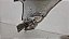 Paralama Direito Vw Gol g6/g7 2013 a 2017 Com detalhe - Imagem 3
