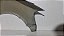 Paralama Esquerdo Vw Fox 2004 a 2009 Com detalhe - Imagem 5