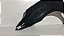Paralama Esquerdo Citroen C4 2006 a 2012 Com detalhe - Imagem 9