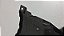 Paralama Esquerdo Citroen C4 2006  a 2012 Com detalhe - Imagem 5