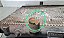 Radiador Agua Peugeot 206 1999 a 2007 - Imagem 2