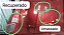 Capo Ford New Fiesta 2014 A 2019 Com Detalhe - Imagem 2