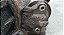 Motor Arranque Ford Escort/Focus Zetec 1997 a 2003 - Imagem 5