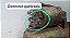 Motor Arranque  Vw Gol 1996 a 2007 - Imagem 10