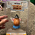 Sr. Cabeça de Batata Mini | Boneco Original Licenciado com Expressões Faciais | Miniatura Colecionável de 3cm - Imagem 10