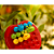 Apple Twist SmartGames – Brinquedo Educativo Lúdico com 60 Desafios | Estimula Lógica e Coordenação - Imagem 8
