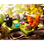 Squirrels Go Nuts! – Smart Games | Jogo de Lógica e Estratégia com 60 Desafios | 6+ - Imagem 7