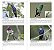 Guia Fotográfico AVES do Pantanal - Imagem 3