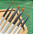 KIT PINCEL BRANCO COM 6 UN D&Z - Imagem 3