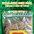Kit Sabores do Dia a Dia - 13 Temperos - 100g - Imagem 2