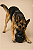 Bola Cravo Preta Para Cachorro de Grande Porte - Imagem 3