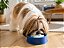 Bebedouro Pelos Longos Para Cachorros e Gatos - Imagem 4