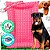 Caminha De Cachorro GG - Imagem 1