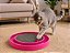 Arranhador Bolinha Para Gatos - Imagem 7