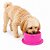 Sanitário Canino Com Comedouro E Bebedouro Elevado 150ml - Imagem 5