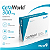 CefaWorld 300mg 12 comprimidos Medicamento Antimicrobiano - Imagem 1