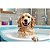 Sabonete Para Cães Cheiros 80g - Imagem 4