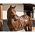 Shampoo Para Cavalos Galloper Rex 500ml Pelos Sedosos E Brilhantes - Imagem 4