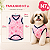 Roupinha Roupa Para Cachorro Agasalho Macho e Fêmea N7 - Imagem 2