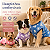 Roupinha Roupa Para Cachorro Agasalho Macho e Fêmea N8 - Imagem 5
